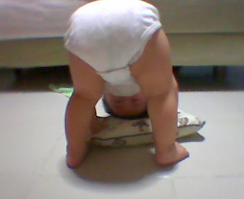 kangbackside.jpg